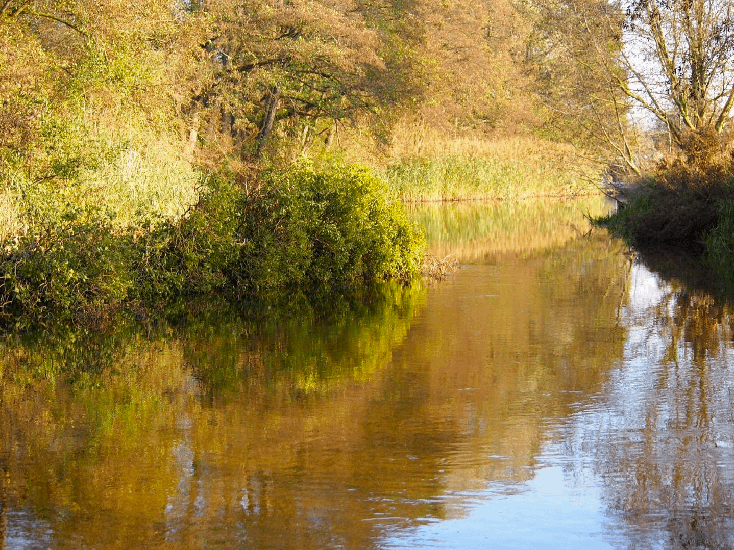 Brandon Lock Campaign 2025